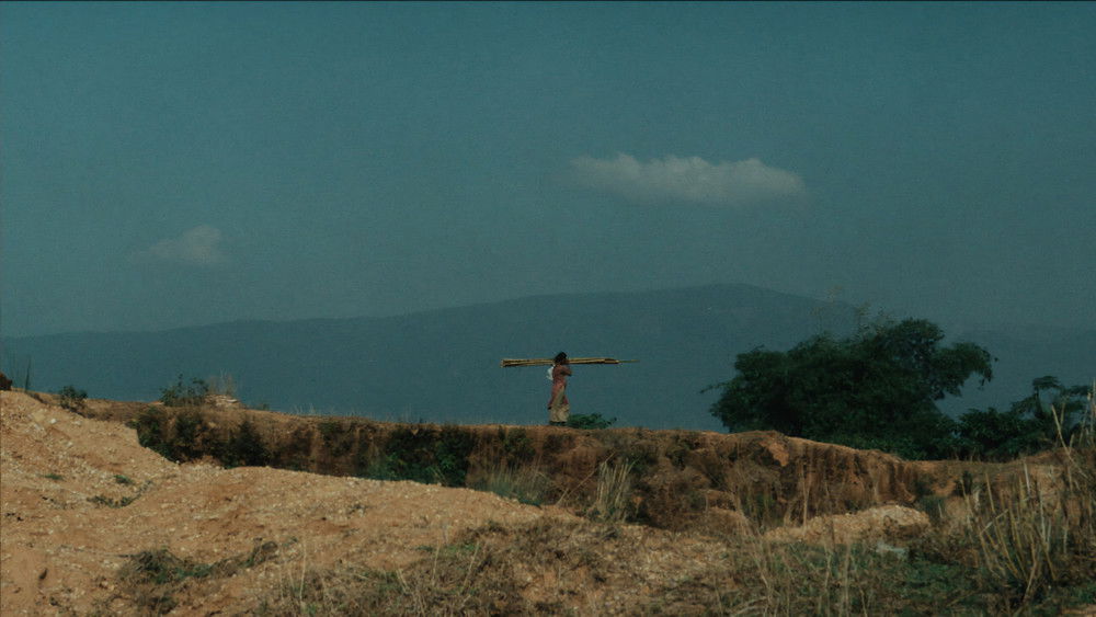 创世之缚,রইদ(2026电影)