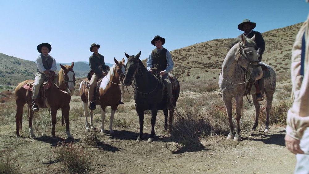 他们回家的那晚,The Night They Came Home(2024电影)