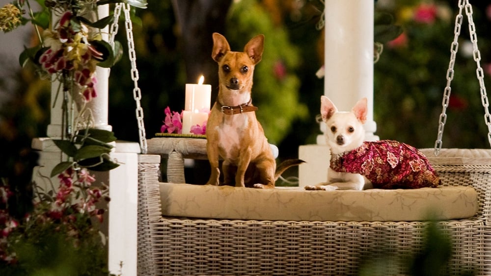 Beverly Hills Chihuahua - © Walt Disney Pictures