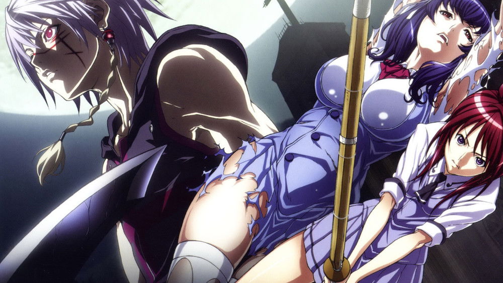 圣痕炼金士,聖痕のクェイサー(2010日本动漫)