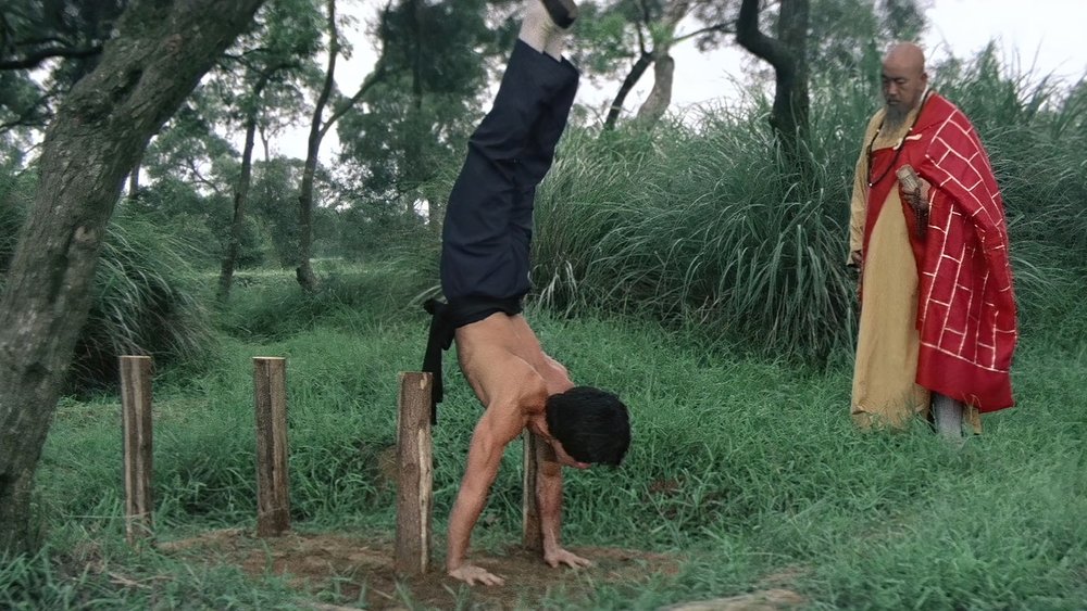 少林木人巷(1976电影)