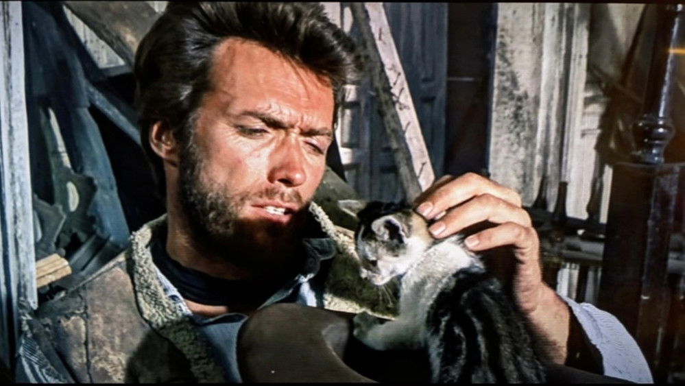 黄金三镖客,Il buono, il brutto, il cattivo(1966电影)