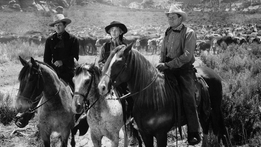 独臂屠龙,Ramrod(1947电影)