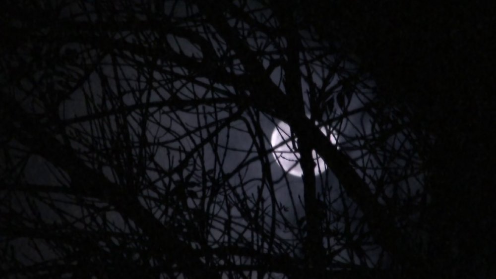 水晶湖回忆：13号星期五的完全历史,Crystal Lake Memories: The Complete History of Friday the 13th(2013电影)