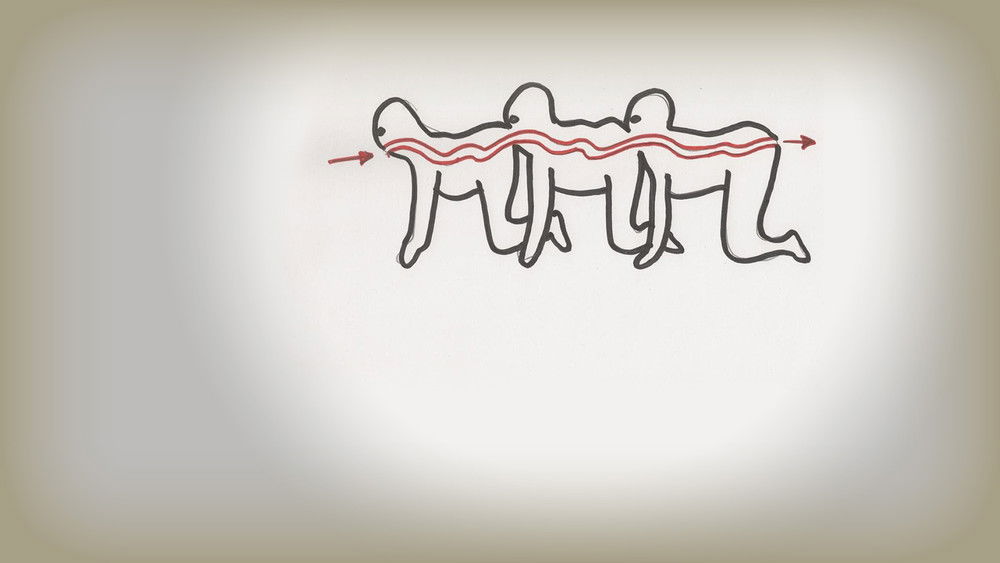 人体蜈蚣,The Human Centipede (First Sequence)(2009电影)