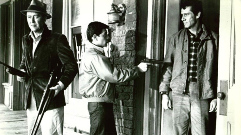 极度恐慌,Panic in Year Zero!(1962电影)