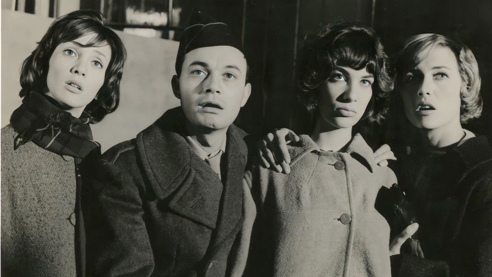 好女人们,Les bonnes femmes(1960电影)