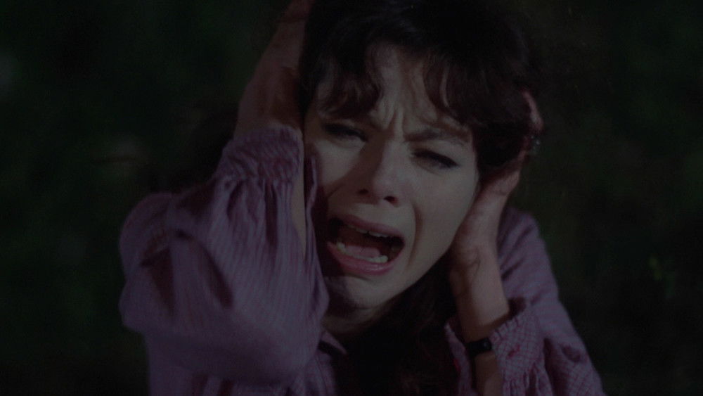 菩提树下死,Les Raisins de la mort(1978电影)