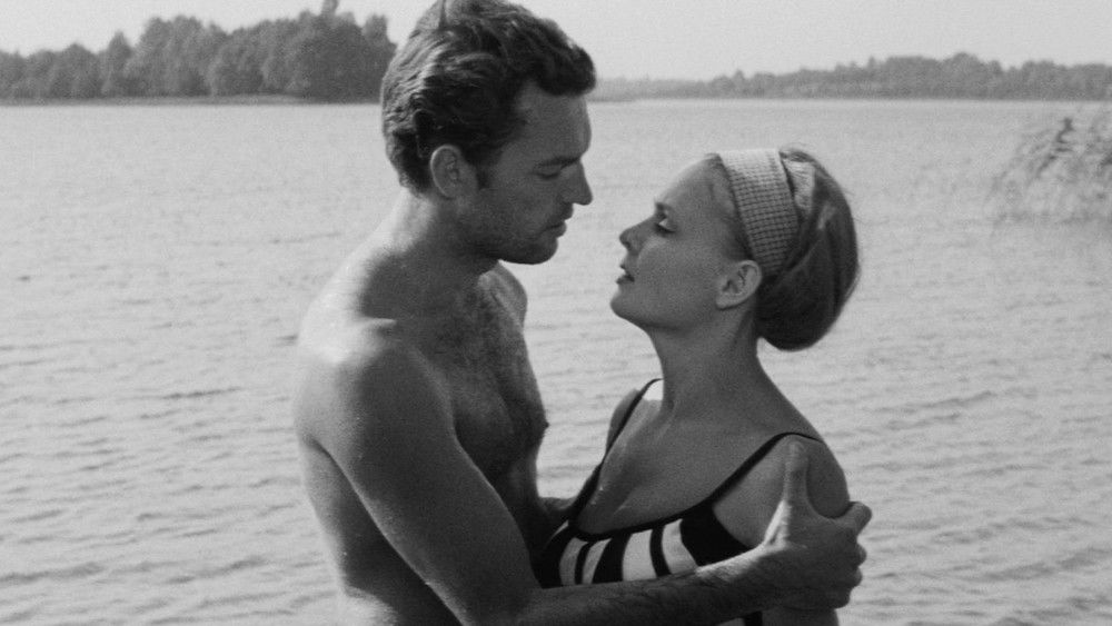 Suaugusių žmonių žaidimai(1968电影)