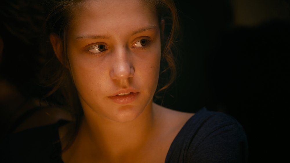 阿黛尔的生活,La Vie d'Adèle - Chapitres 1 et 2(2013电影)