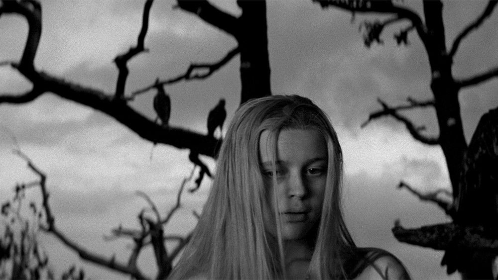 乱世英豪,Marketa Lazarová(1967电影)