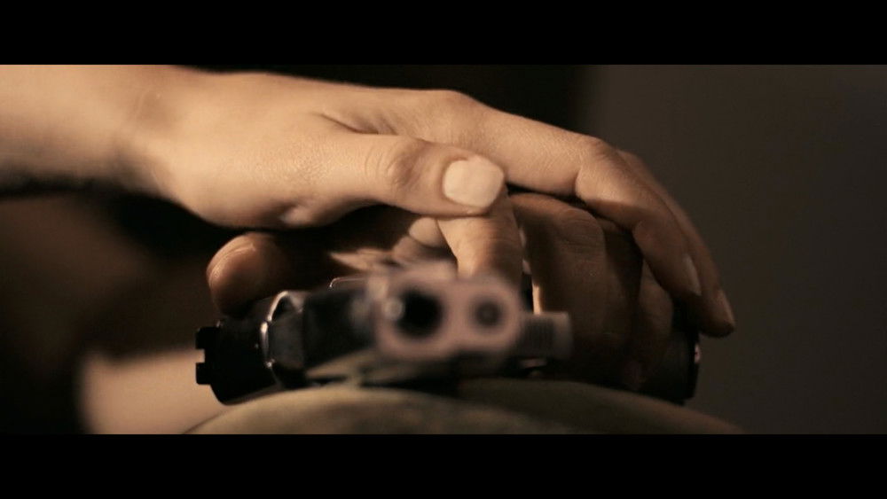 一部塞尔维亚电影,Srpski film(2010电影)