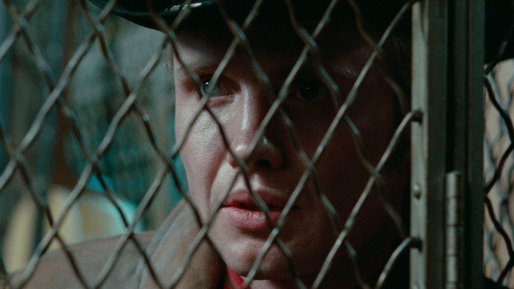 午夜牛郎,Midnight Cowboy(1969电影)