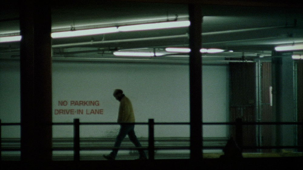 昨日欢愉,Old Joy(2006电影)