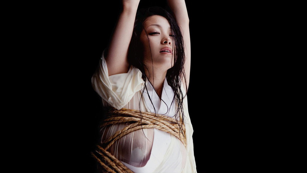 花与蛇3,花と蛇 3(2010电影)