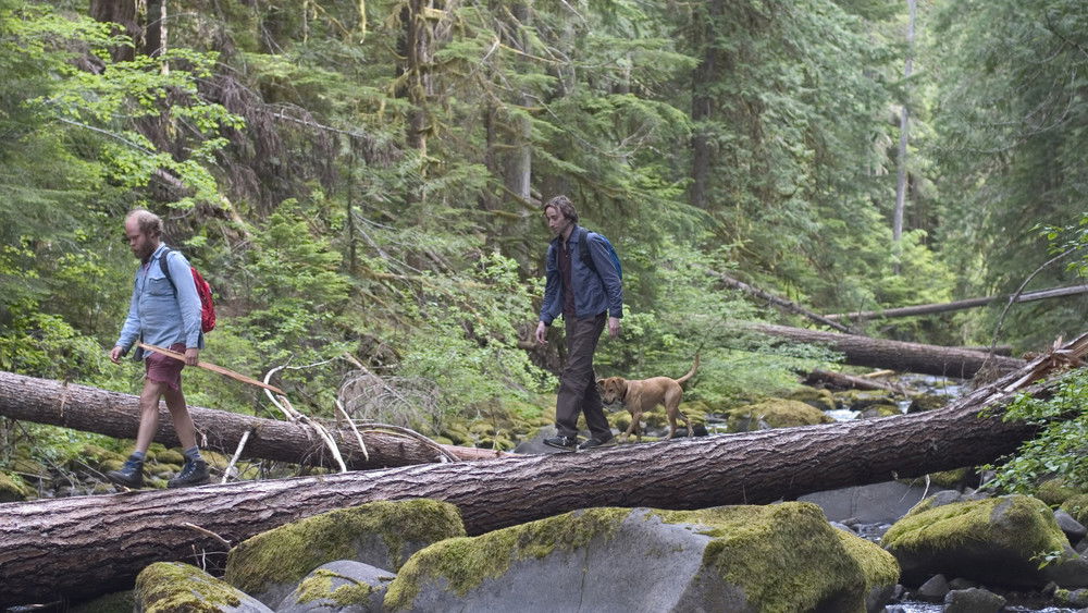昨日欢愉,Old Joy(2006电影)