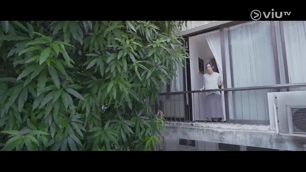 短暂的婚姻,短暫的婚姻(2017电视剧集)