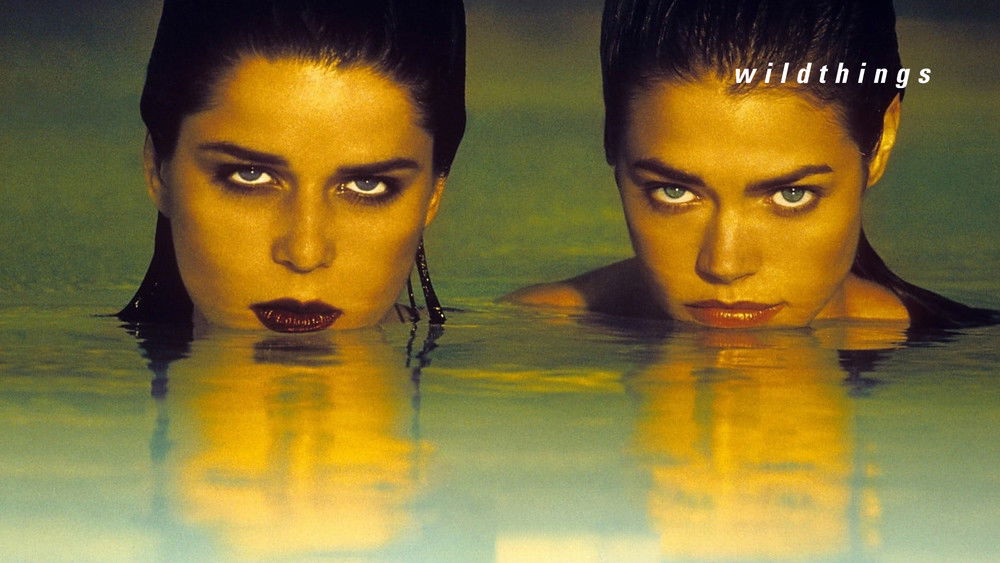 玩尽杀绝,Wild Things(1998电影)