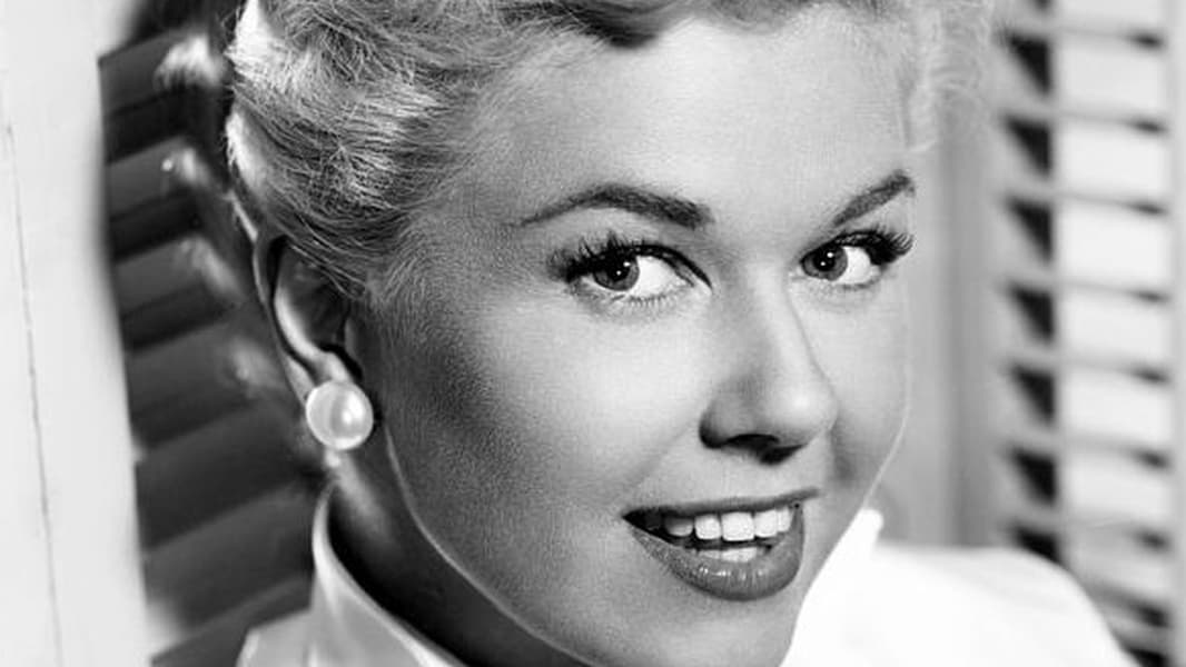 Doris Day Screenshot 0