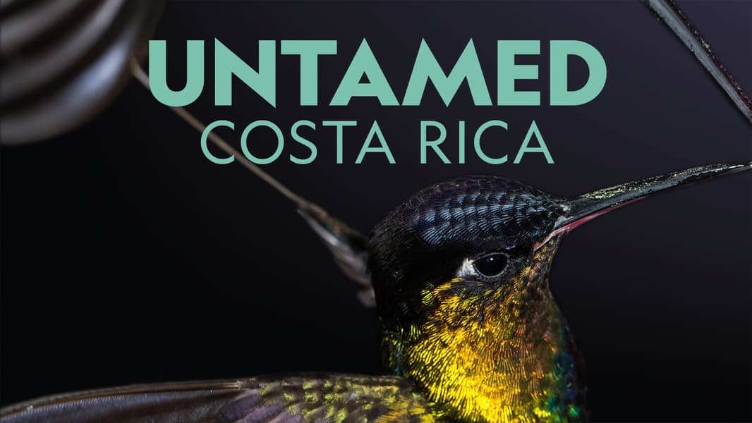 Untamed Costa Rica with Filipe DeAndrade Screenshot 2