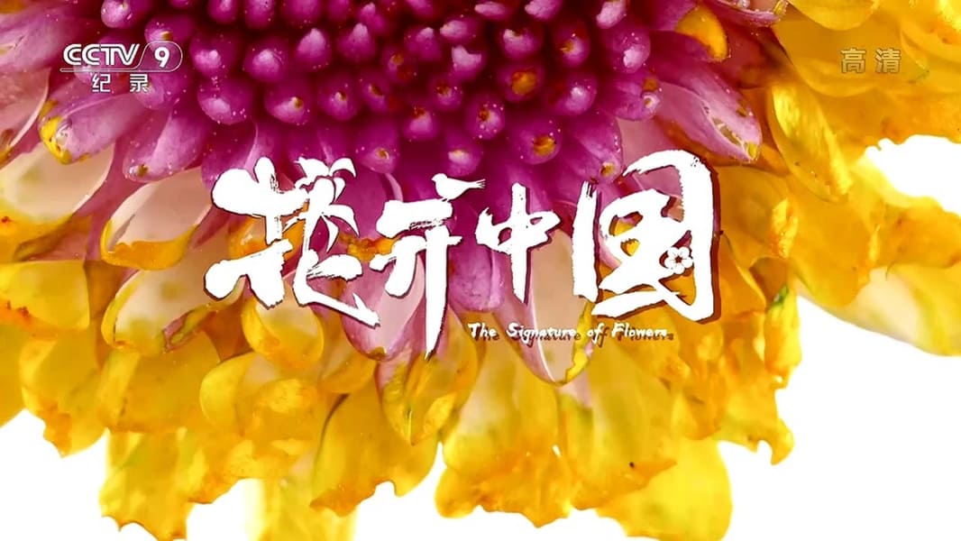 The Signature of Flowers Screenshot 0