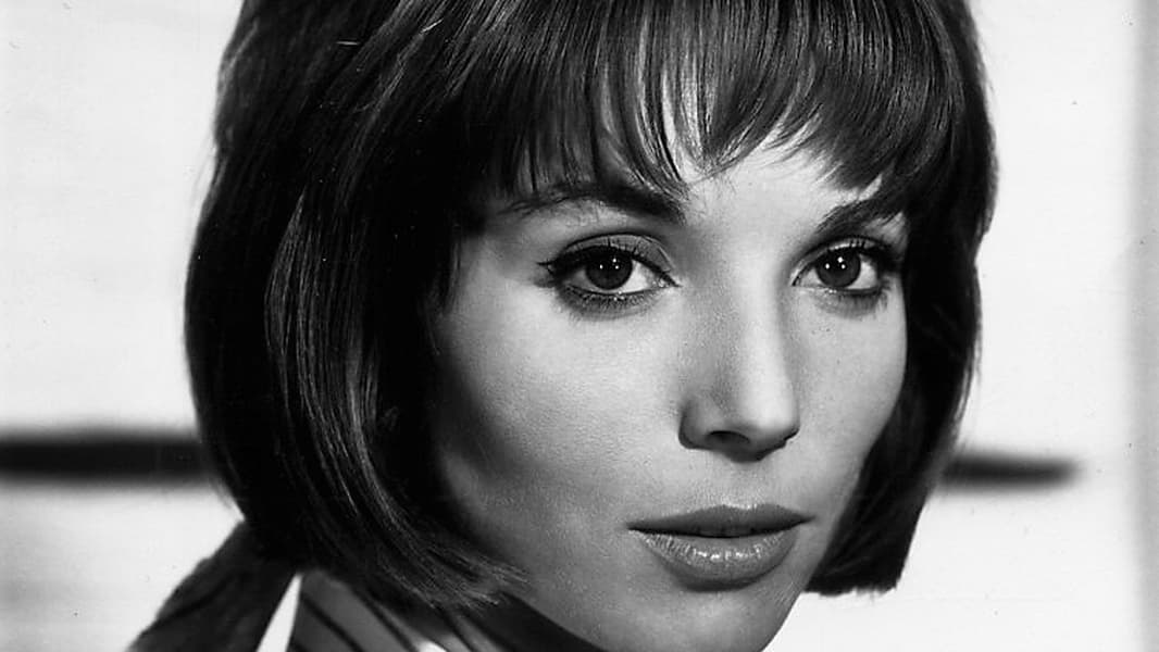 Elsa Martinelli Screenshot 3