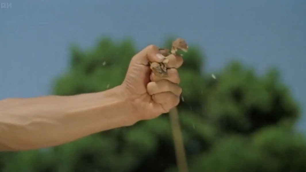 Drunken Master