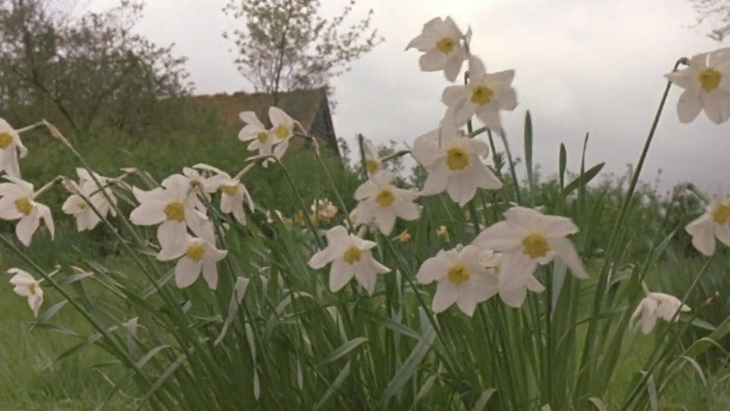 Howards End