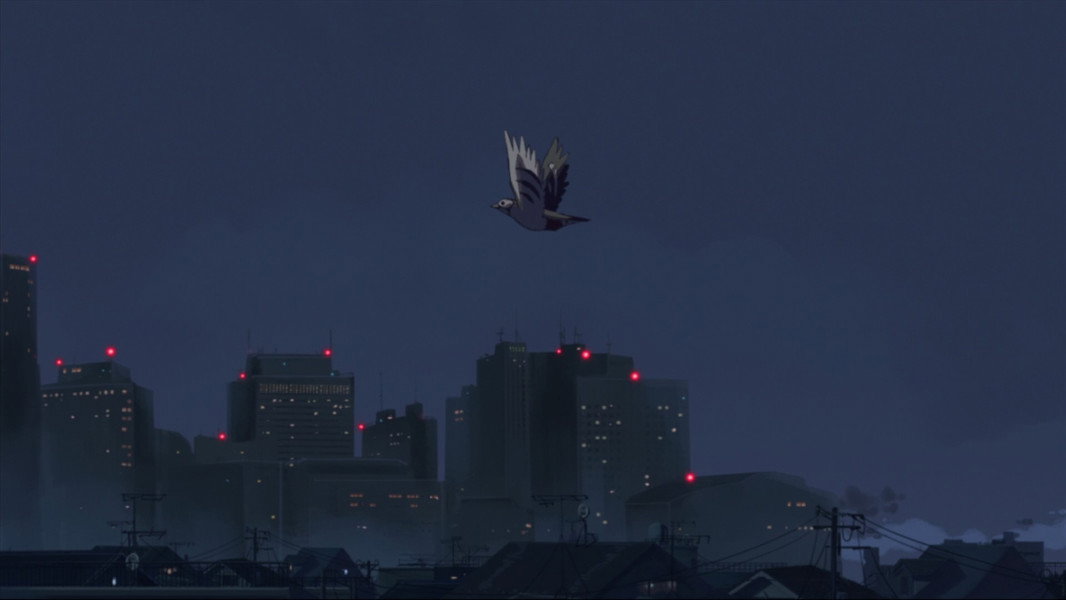 5 Centimeters per Second