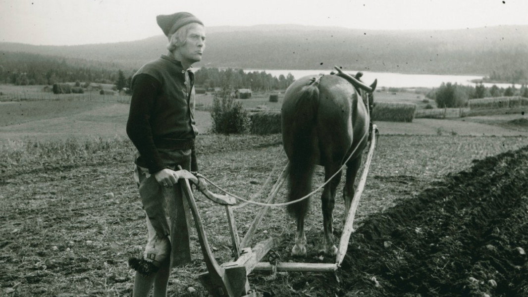 Sons of Ingmar