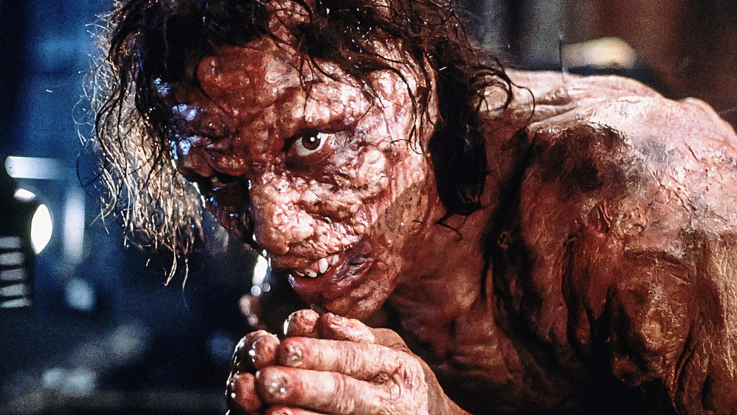 The Fly