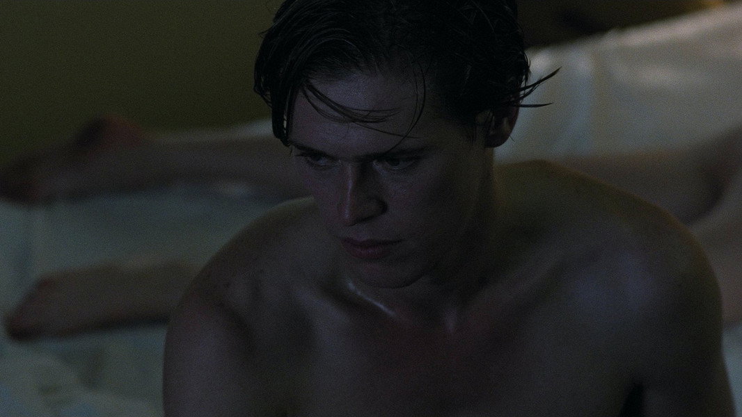 The Loveless