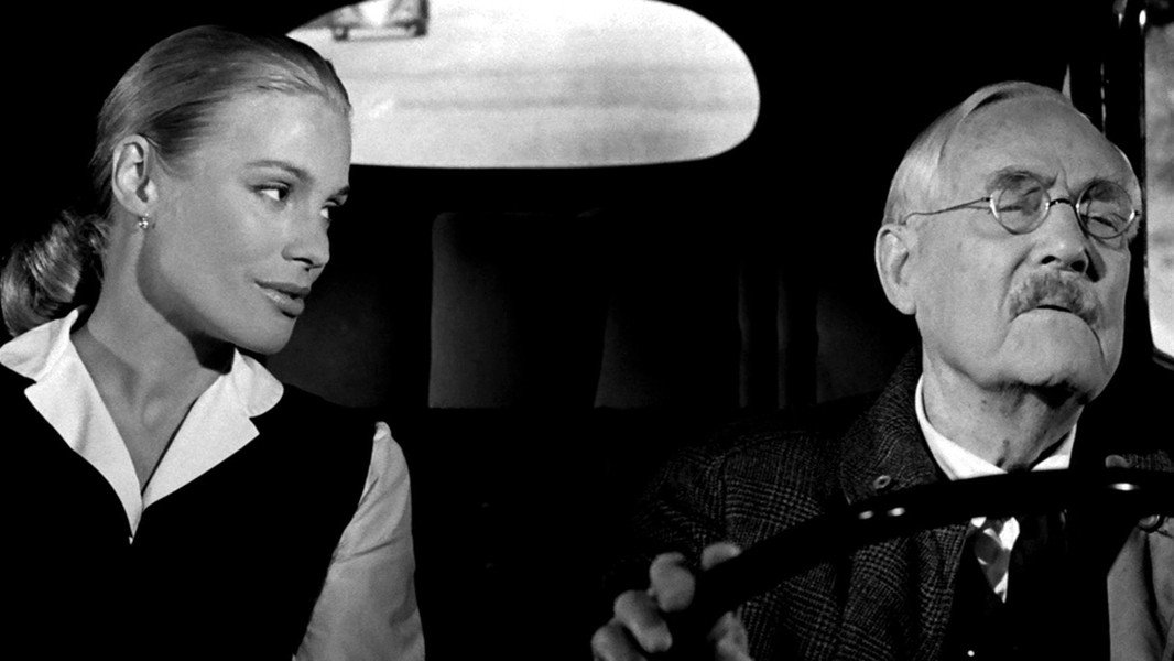 Wild Strawberries