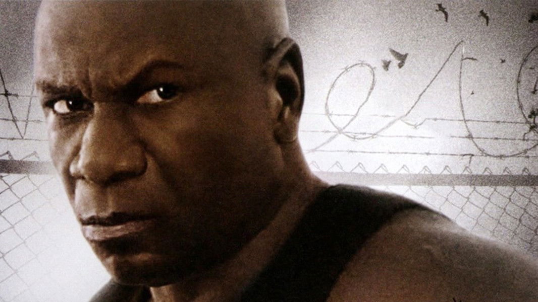 Animal (2005) — The Movie Database (TMDb)