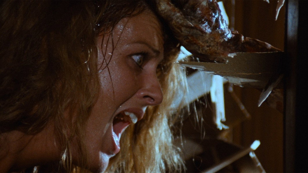 Zombie Flesh Eaters