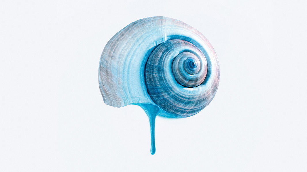 The Blue Trail