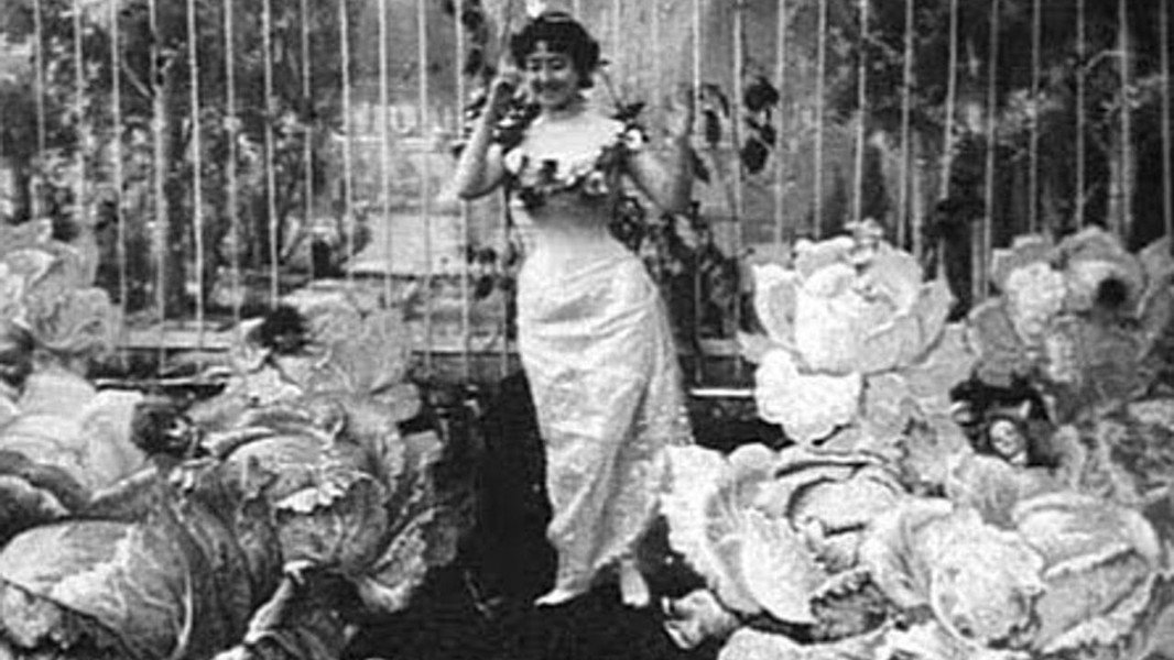 The Cabbage-Patch Fairy