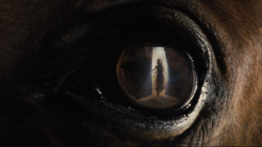War Horse