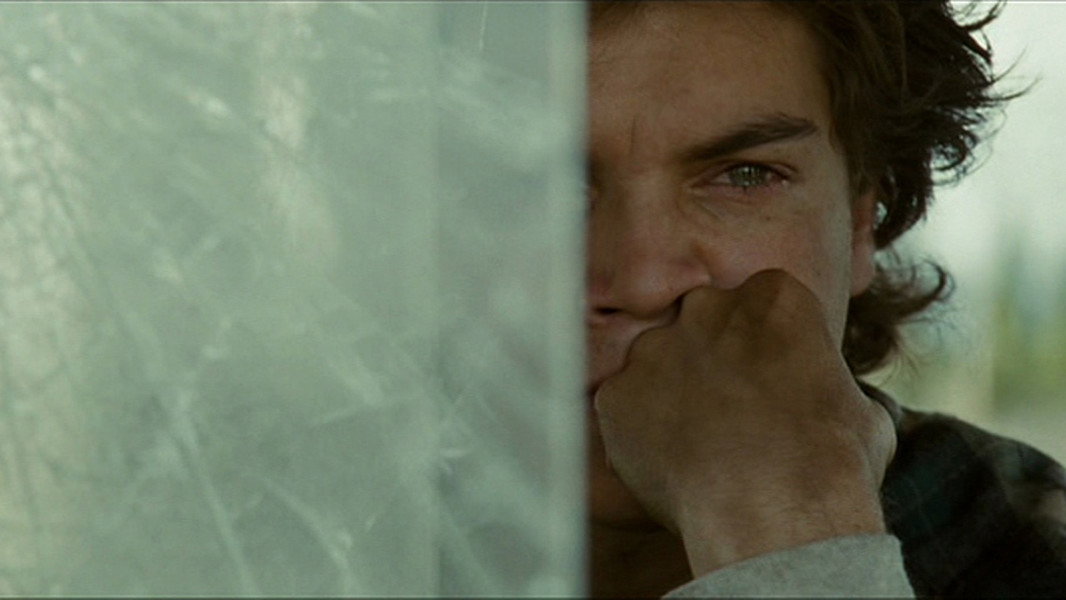 Into the Wild