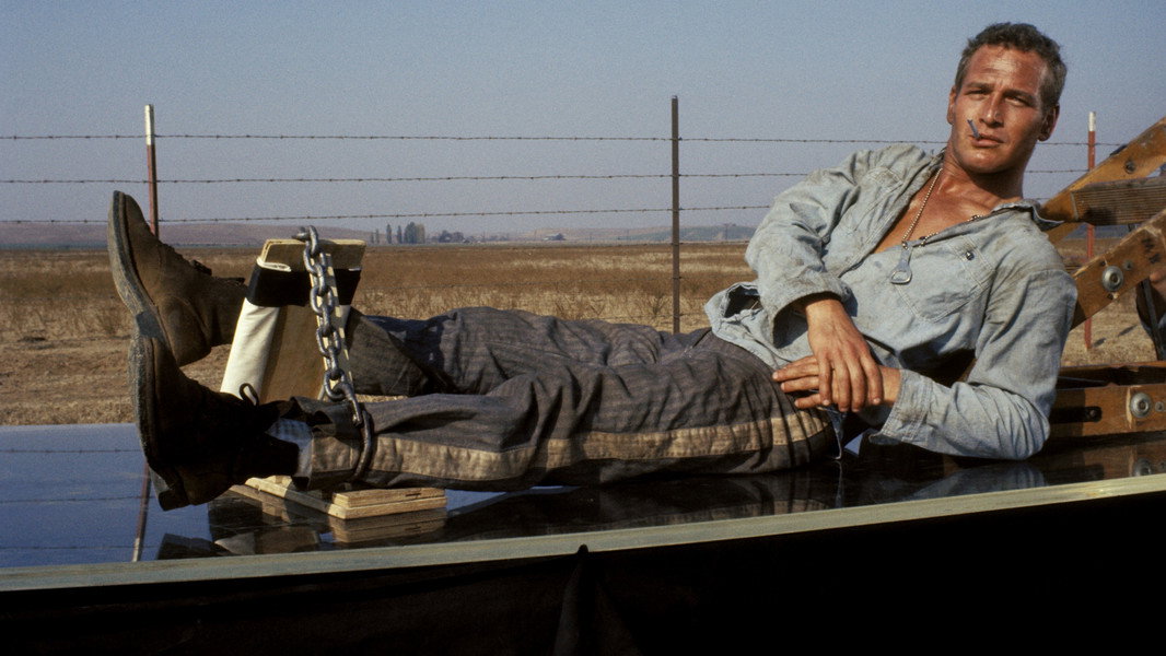 Cool Hand Luke
