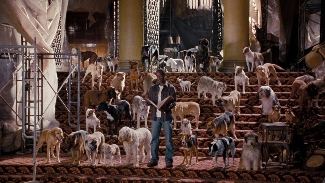 Hotel for Dogs