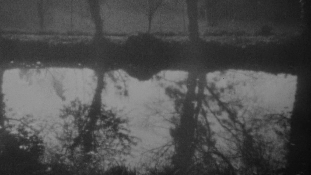 Vampyr