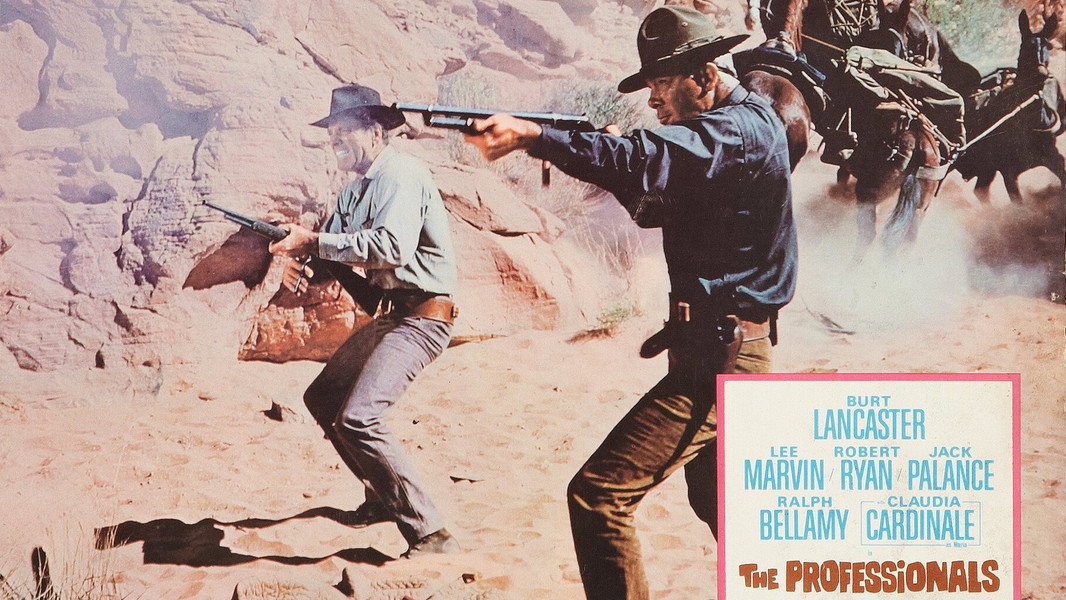 The Professionals