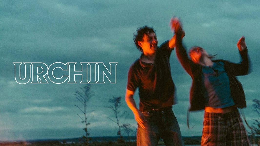 Urchin