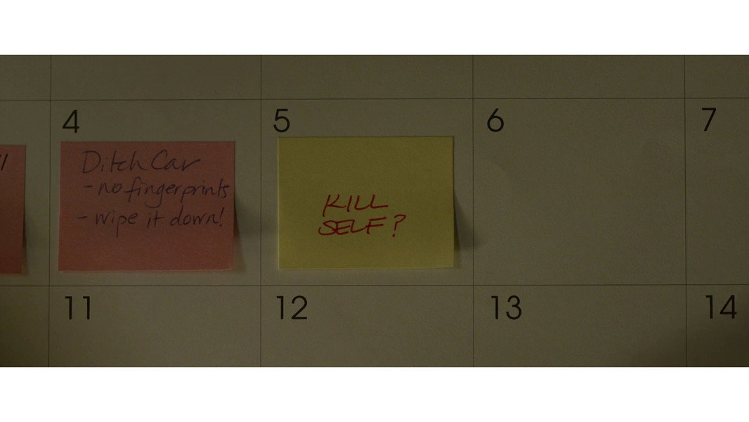Gone Girl