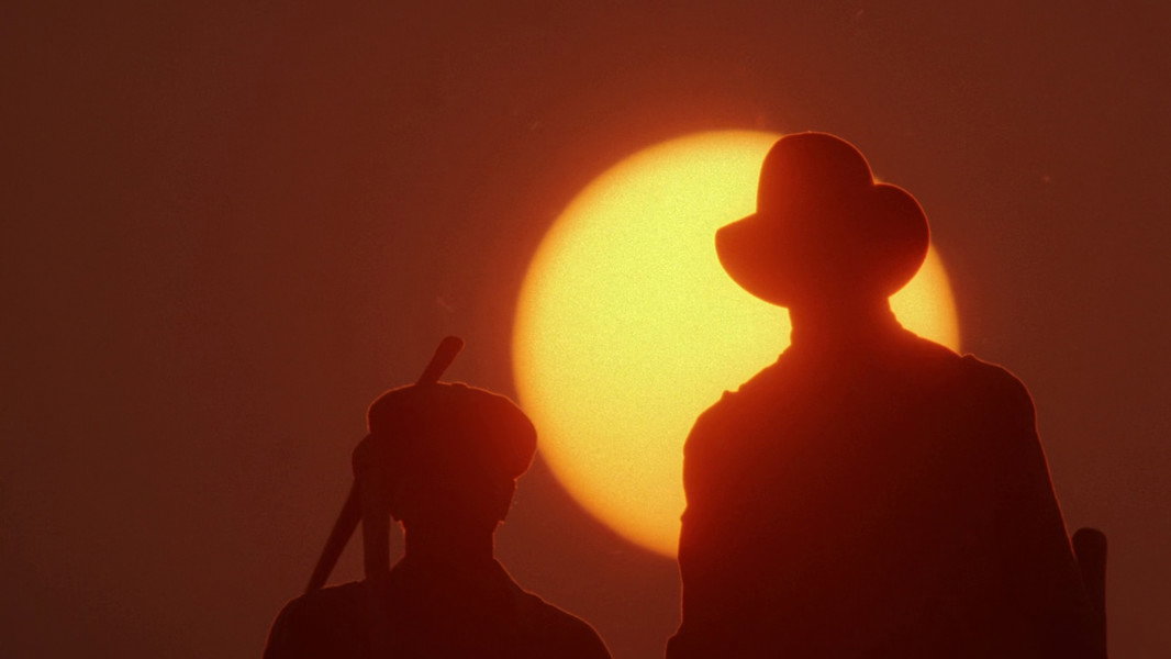 The Color Purple