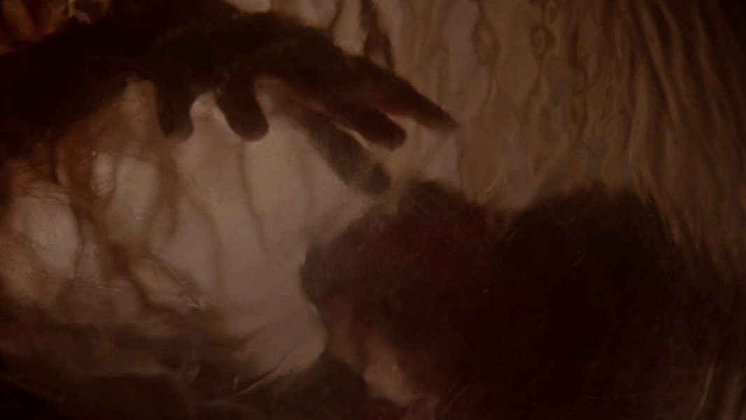 Body Snatchers
