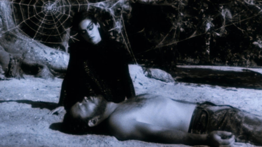 Kiss of the Spider Woman