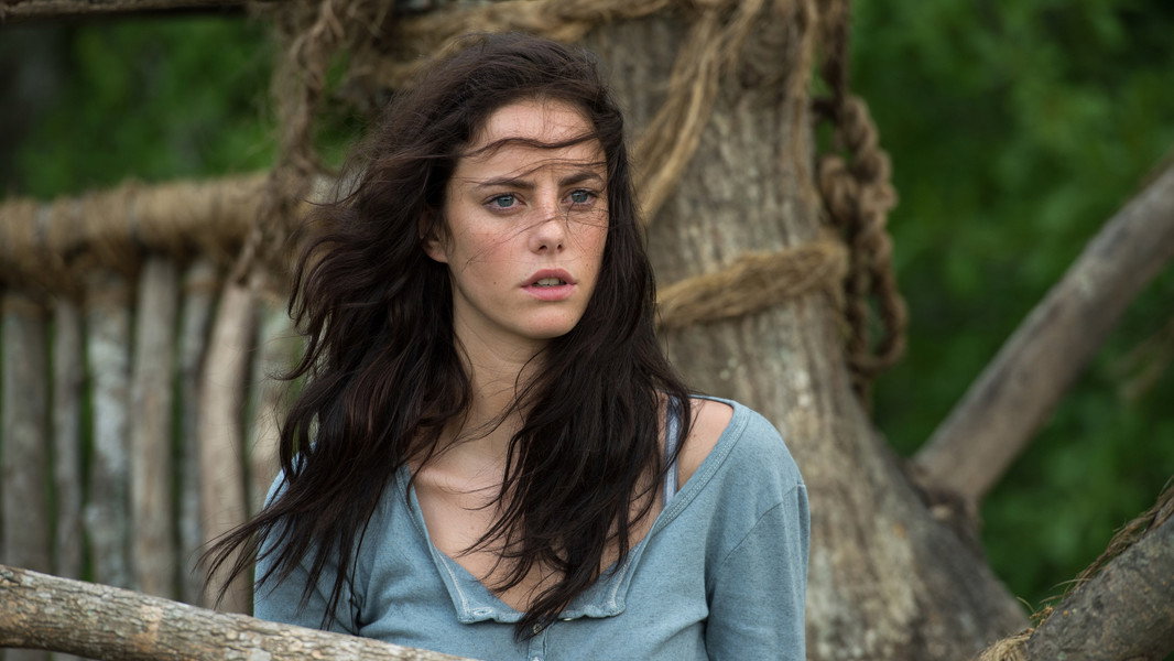 The Maze Runner