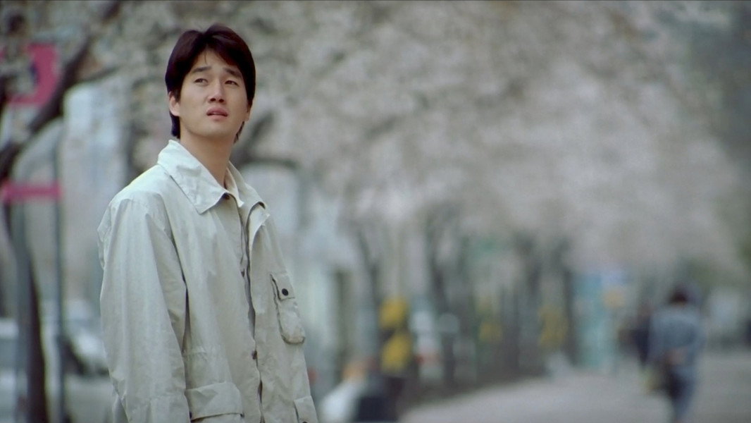 One Fine Spring Day